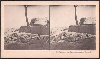 Русско-японская война. Трупы японцев в Мамыкае.