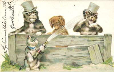 Юмористическая открытка. "Собаки и кот"