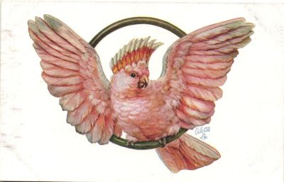 Живопись "Попугай"