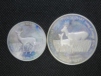 שני מטבעות כסף מסדרת שיר השירים