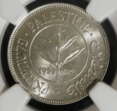 50 מיל 1939, מדורג 62