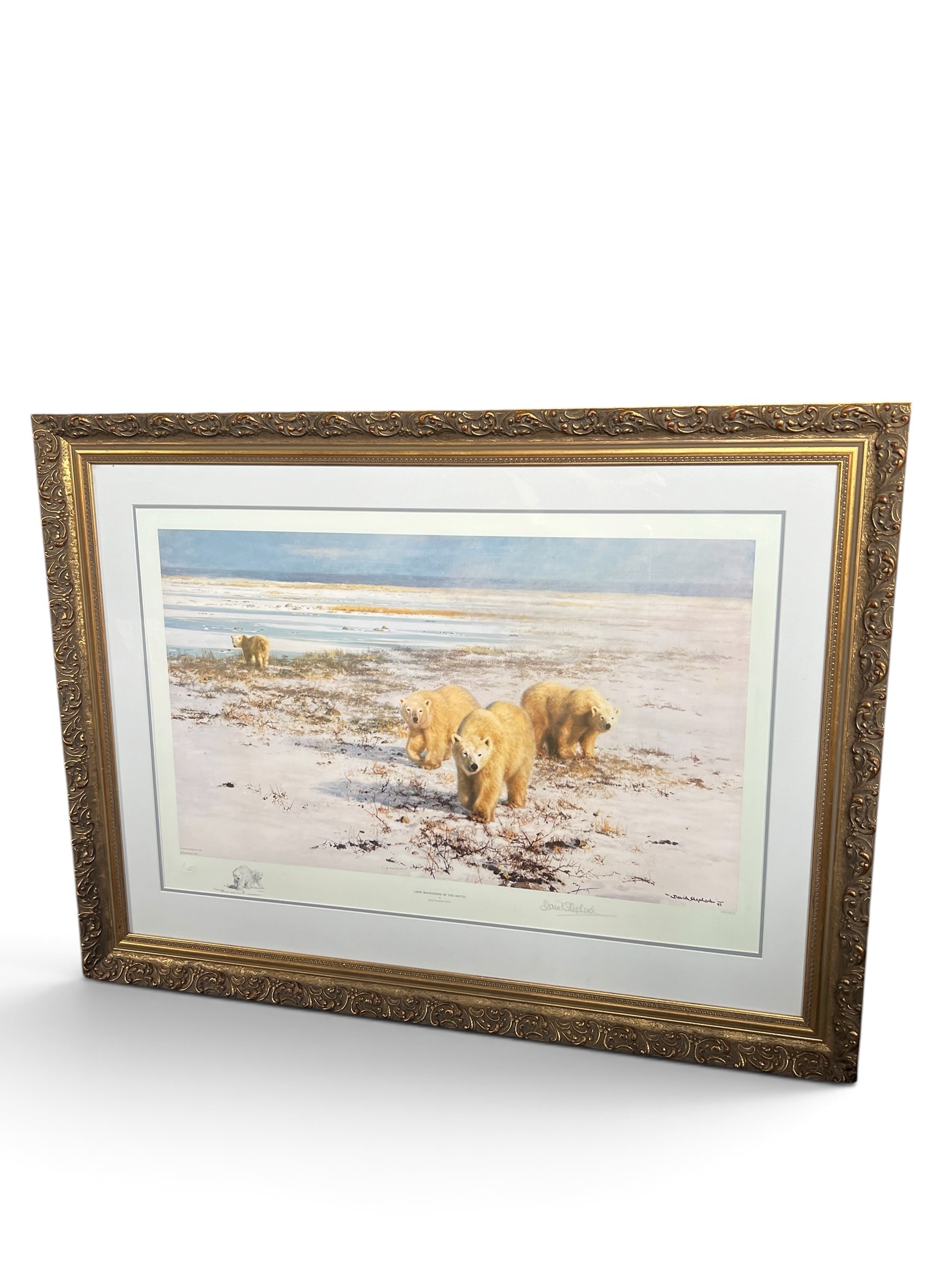 David Shepherd Signed Limited Edition Print “Lone Wanderers of the Arctic”
