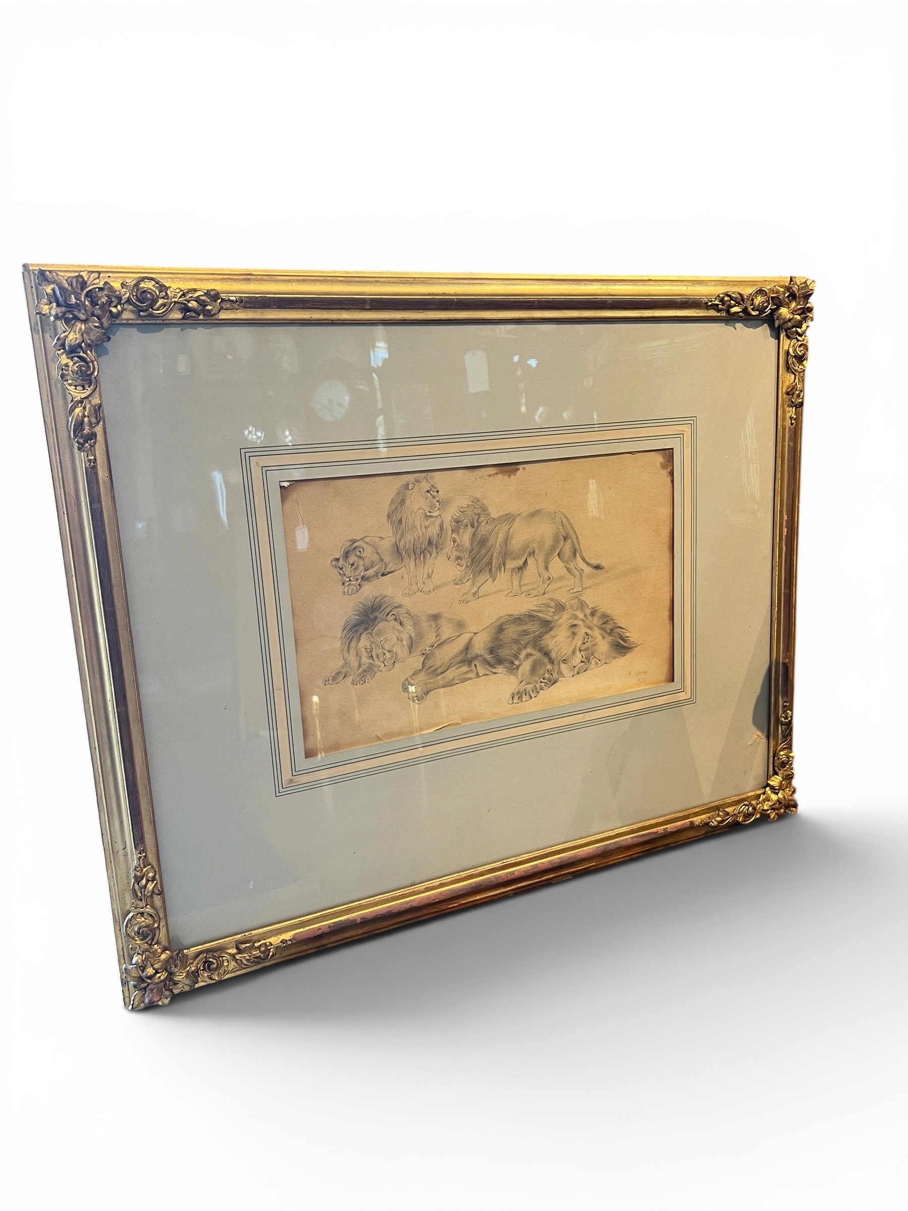 William Huggins (1820–1884) "The Pride of Lions" Pencil & Coloured Chalk Study