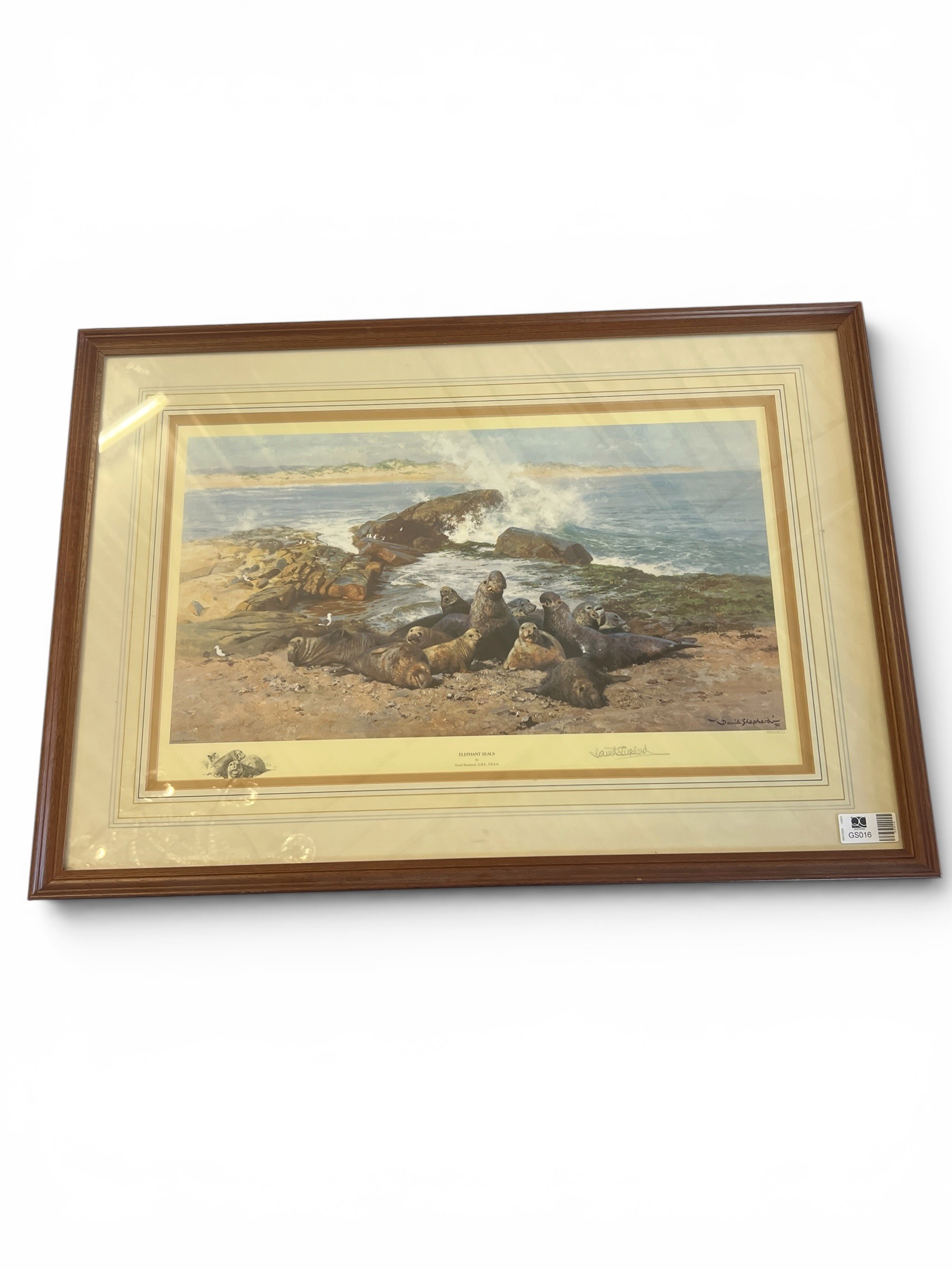 Framed Limited Edition Colour Print Titled "Elephant Seals" by David Shepherd