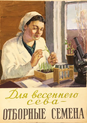Владимир Андрушкевич. Для весеннего сева — отборные семена. Оригинал плаката. К. 1950-х. Бумага 