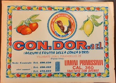 Prints. 1900 PALERMO CONDOR, sheet for lemon box, cm. 36x26 color print. CONDOR VILLABATE LIMONI 