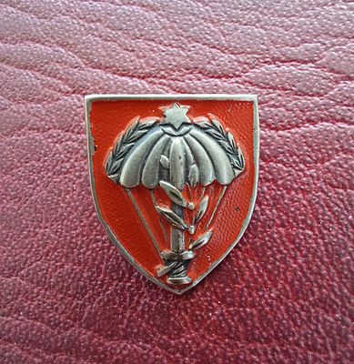 סיכה ישנה הברגת אום , חטיבת צנחנים שפיפון מעופף.