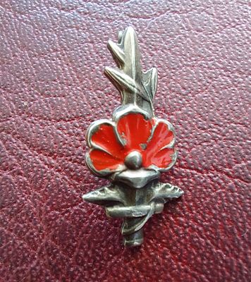 סיכה ישנה, אות נכה צה"ל.