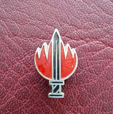 סיכה ישנה , אות השרות המבצעי בצה"ל.