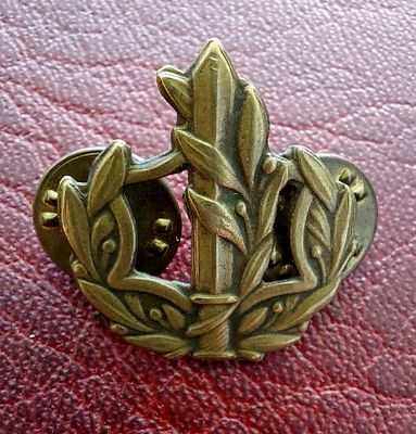 סמל ישן , רב- סמל , ונגדים