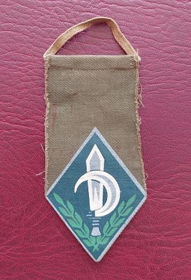 תג יחידה. נח"ל ישן, עשוי בד.