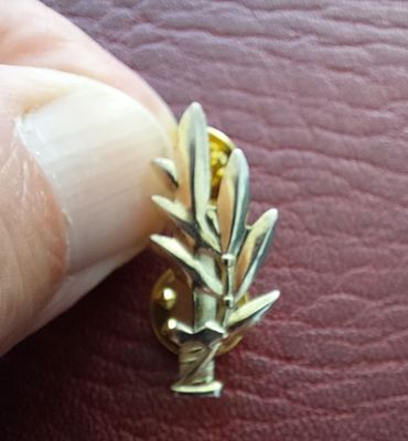 סיכה ישנה, מ"מ, מוזהבת.