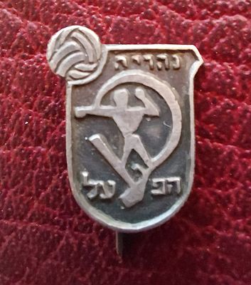 סיכה ישנה הפועל"