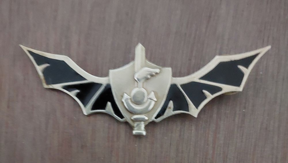 נדיר!!! סיכה ישנה, לוחם קומנדו , שייטת 13. עטלף. חסר סיכה 1 מאחור, ניתן להשלים. - מידה גדולה 