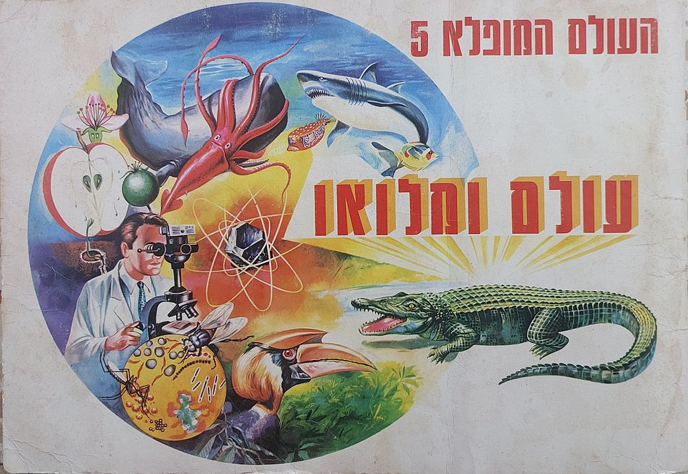 אלבום קלפים, העולם המופלא 5' נירם" שנות 70 , הנדיר בסדרה, מלא עד הקלף האחרון , מצב טוב, משומש, סימני סלוטייפ ישן , סמני גיל.