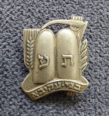סיכה ישנה מיוחדת, תנועת בני עקיבא.