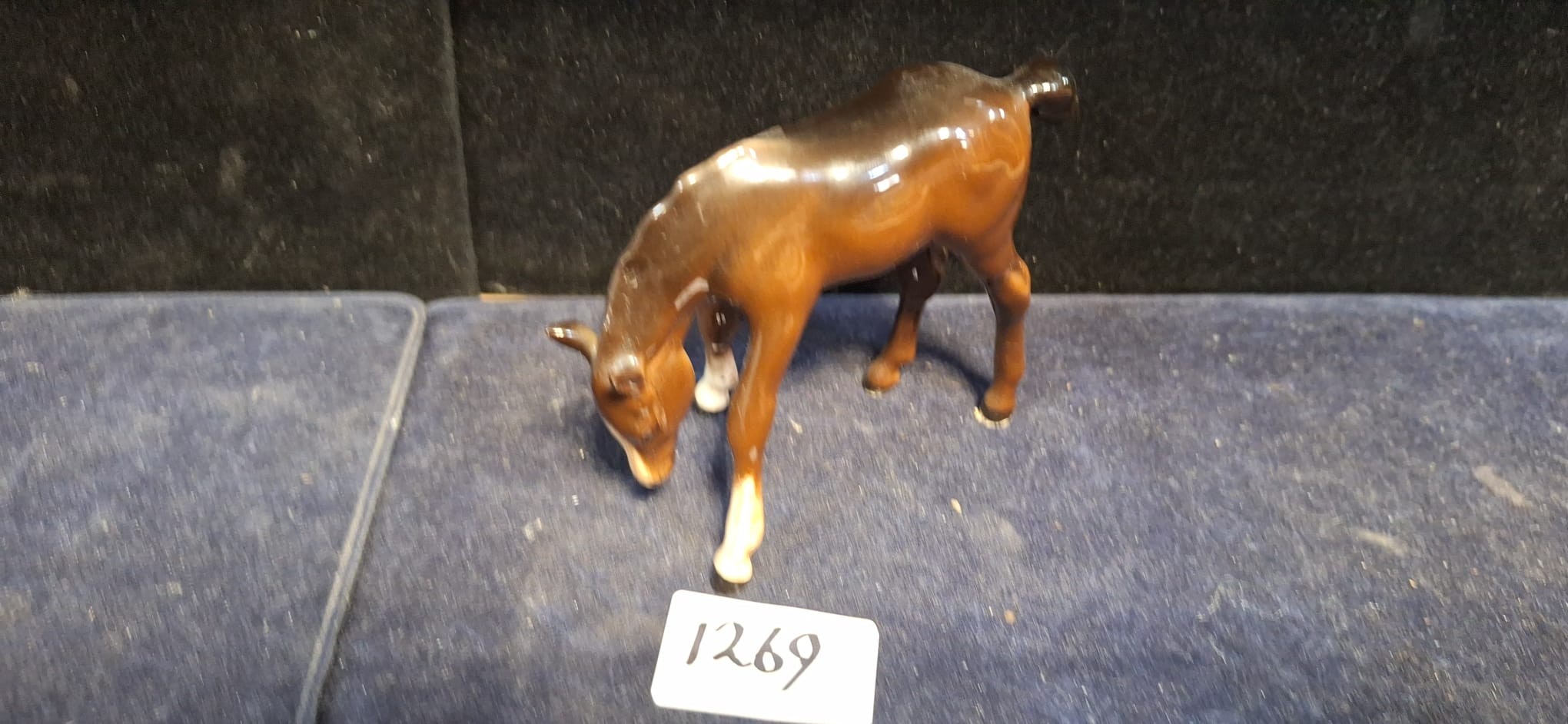 Lot 1269