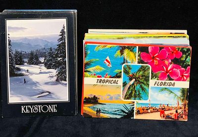 Over 75 Florida Sunshine V.S Winter Snow Postcard. This lot contains Over 75 Florida Sunshine 