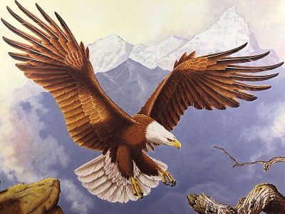 Vintage Wildlife Artist Jim Oliver "Bald Eagle " Signed Embossed Lithograph Print. Authentic 