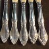 Oneida Celebrity Dinner Knives Floral Design Kitchen Steak Knife Set of 12 Twelve. This Image - 2