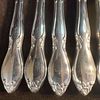 Oneida Celebrity Dinner Knives Floral Design Kitchen Steak Knife Set of 12 Twelve. This Image - 4