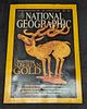7 1990s 2000s National Geographic Magazines. This lot includes: 
(1) June 2003 - Unearthing Image - 5
