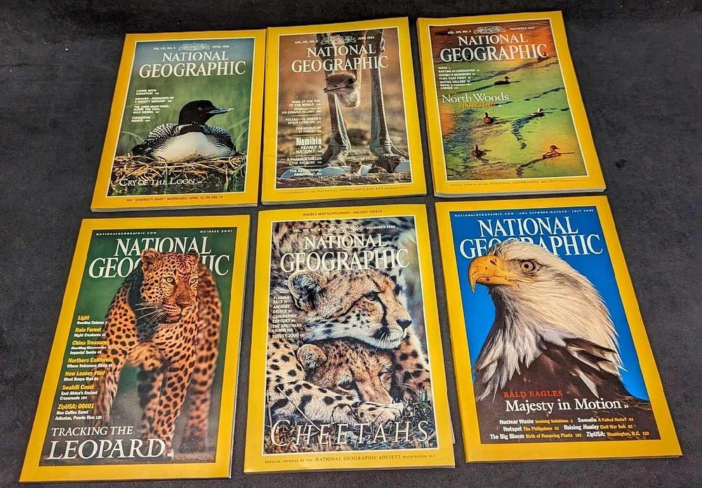 Lot 454: 6 1980s 1990s 2000s National Geographic Magazines V