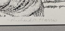 Framed Richard D Harris S&N Bear Hatted Man Print. Framed Richard D Harris S&amp;N Bear Hatted Image - 2