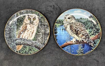 2 Majesty Of Owls Plates Night Watchman & On The Lookout. This lot includes: 
(1) Night Watchman 