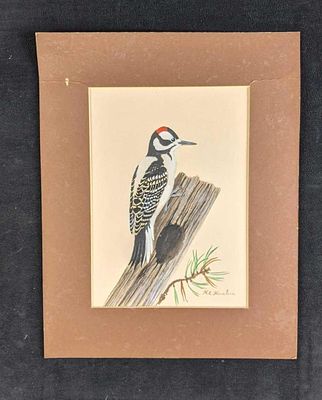 Downy Woodpecker by Karl Karalus. Subject: Downy Woodpecker Size: 14in x 11in 