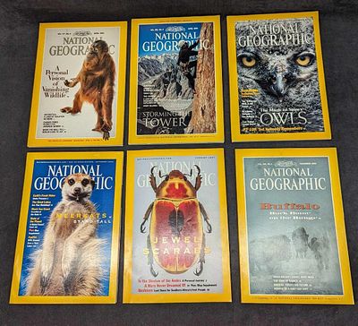6 1990s 2000s National Geographic Magazines NGE. 6 1980s 1990s 2000s National Geographic 