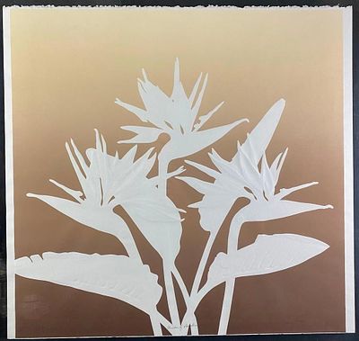 "Birds of Paradise" Print Ken Rich Large serigraph by artist Ken Rich, in a floating glass 