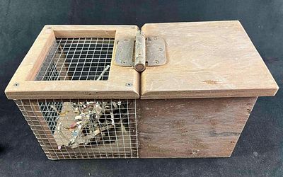 Prop Prank Squirrel Trap Piratical Joke Animal Trap This is is practical joke squirrel trap. 