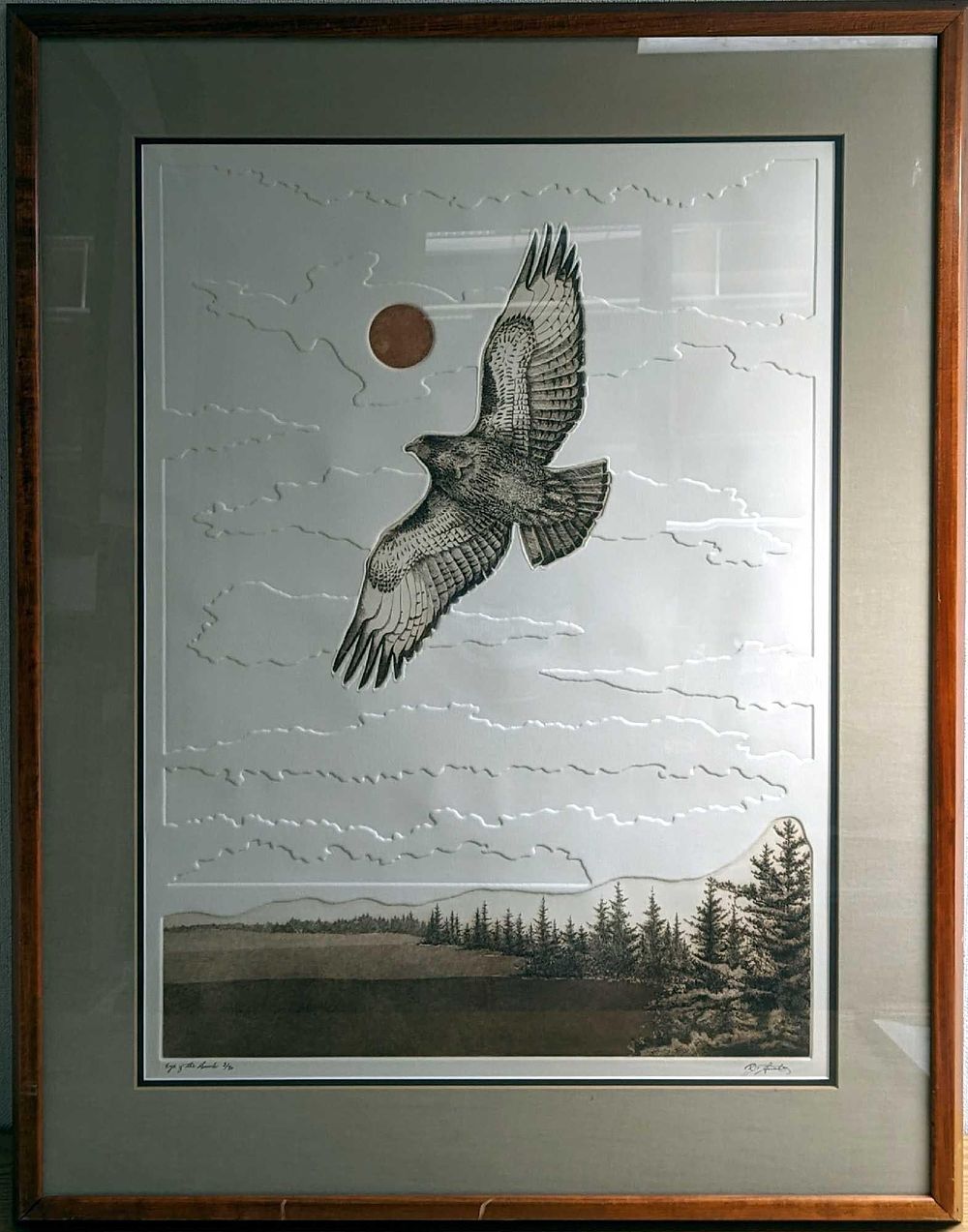 F20 S&N Eyes Of The Hawk Textured Print. F20 S&amp;N Eyes Of The Hawk Textured Print. This one 