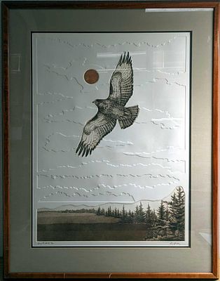 F20 S&N Eyes Of The Hawk Textured Print. F20 S&amp;N Eyes Of The Hawk Textured Print. This one 