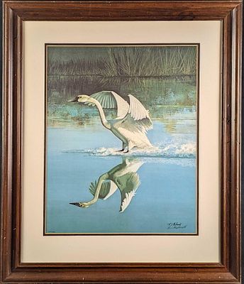 F39 Framed LE Ralph McDonald Whistling Swan Print. Framed Signed And Numbered 'Whistling Swan" 