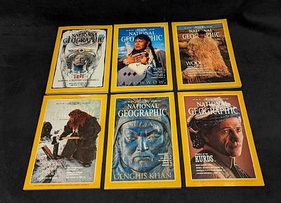 6 1990s National Geographic Magazines P. This lot includes: 
(1) June 1994 - 