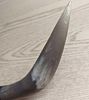 Bull Horn Wall Mount Coat Hanger. Made of real bull horns, wood, and leather. The maker and Image - 6