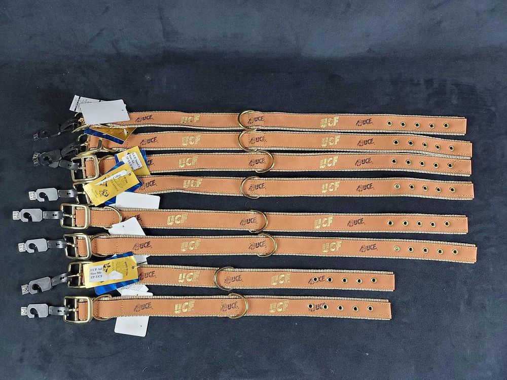 UCF College Football Logo Dog Collars D. Lot contains 8 UCF logo dog collars. Collars are nylon 
