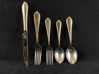 WATERFORD 5 Pc Setting Powerscourt Stainless Gold Accent Flatware (JB). This retired in 2011 5 