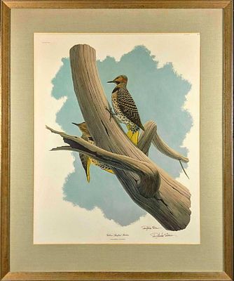 Framed Vintage Richard Sloan Yellow Shafted Flicker Print. Artist's hand signature is under the 