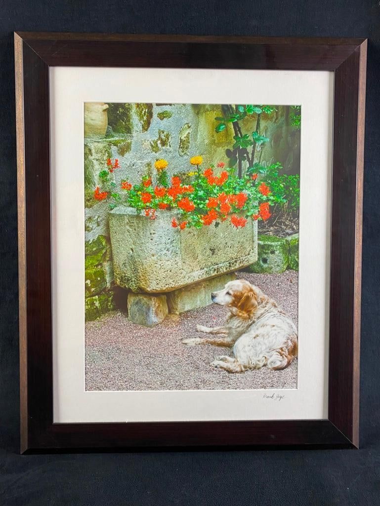 Lot 248: Frank Juge "Sitting Pretty" Photo