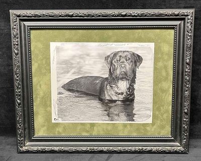Black & White Photograph Pix n' Pages High Quality Canine Event Photos By Nicky & Chuck Guthrie. 