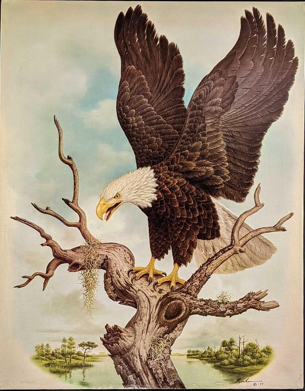 Lot 187: Vintage Bald Eagle Print On Canvas Leeham