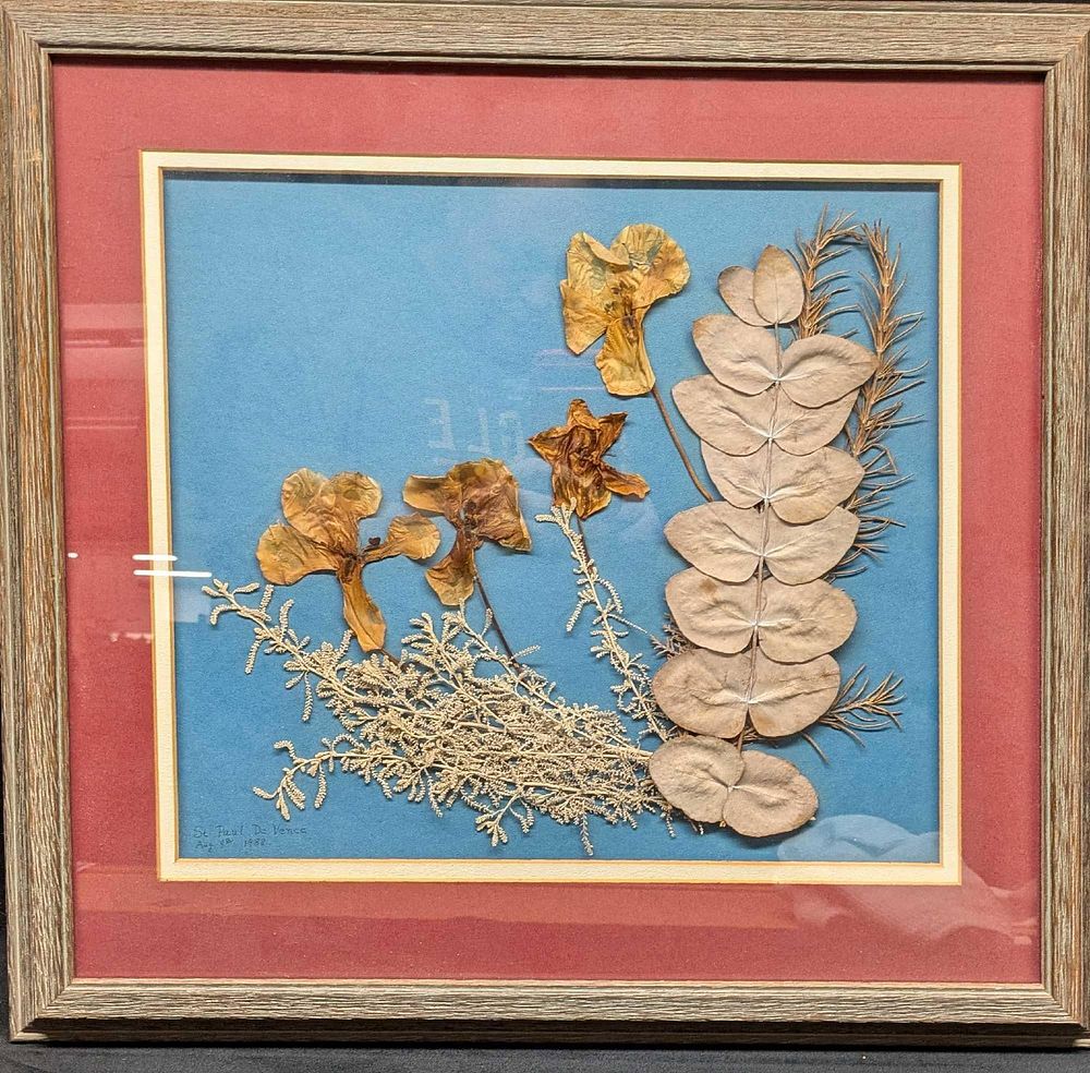 Lot 294: Framed St Paul De Vence Pressed Dried Flowers Artwork