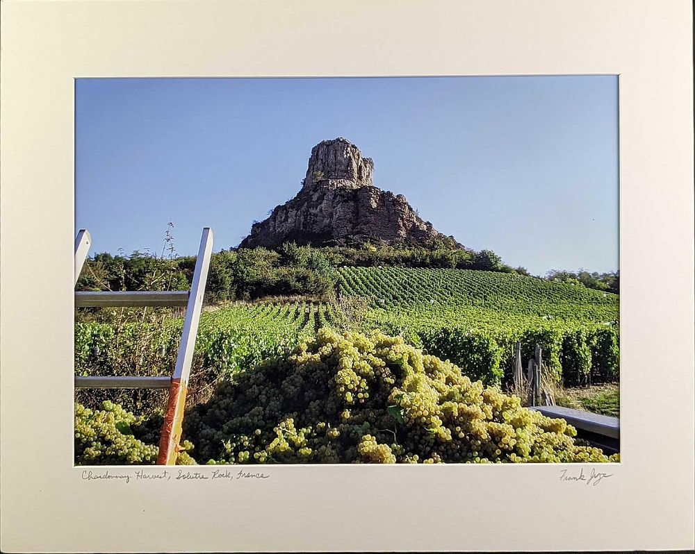 Lot 368: Matted Frank Juge Chardonnay Harvest Photo