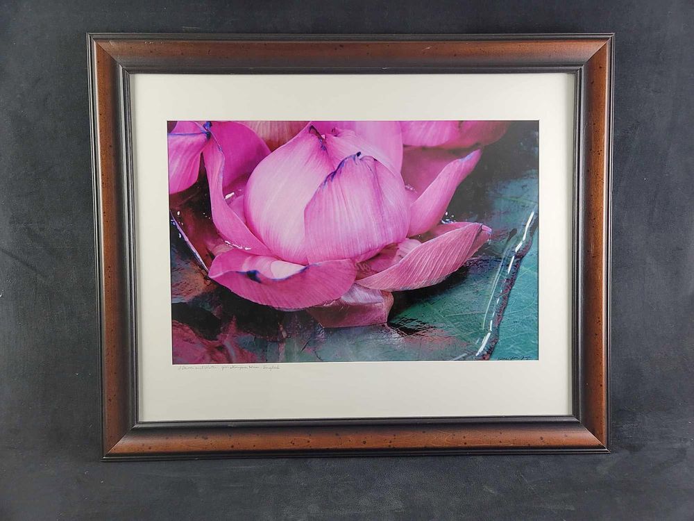 Lot 408: Lotus Lily Flower and Water Photograph by Etta Jean Juge Nature