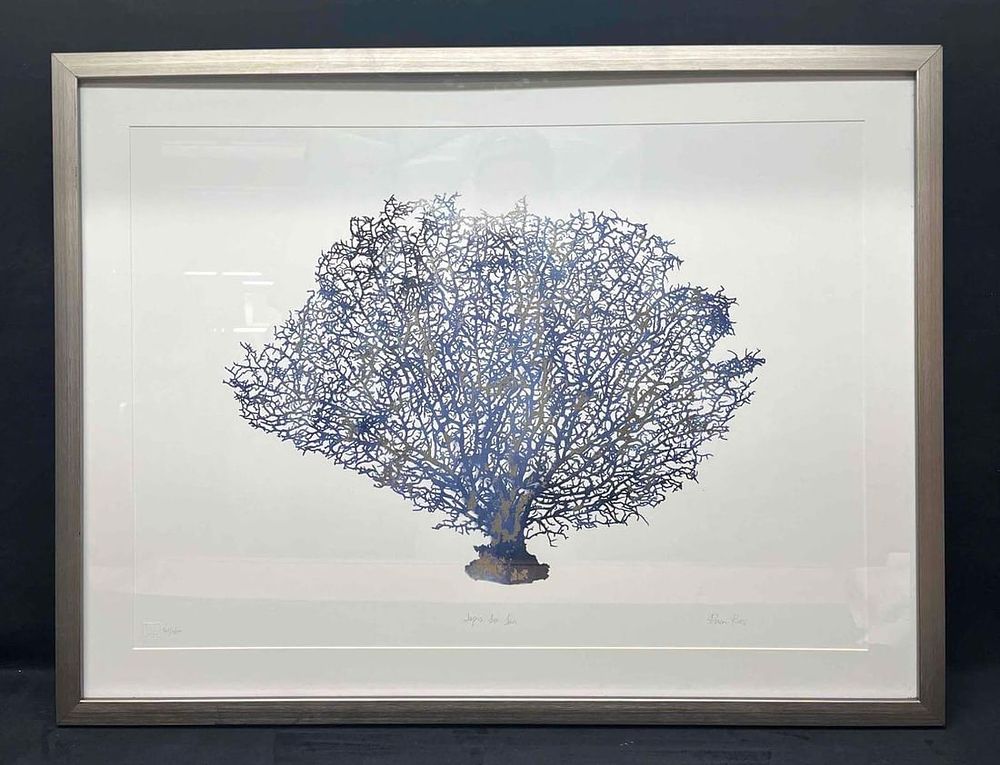 Lot 458: Framed Signed & Numbered Artwork Lapis Sea Fan By Devon Ross 81/3600