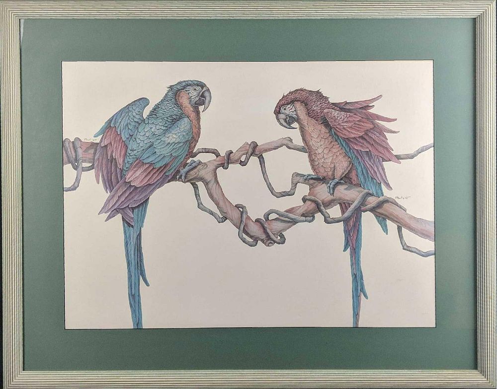 Lot 473: Large Framed Colorful Parrots Print P Breut Tropical