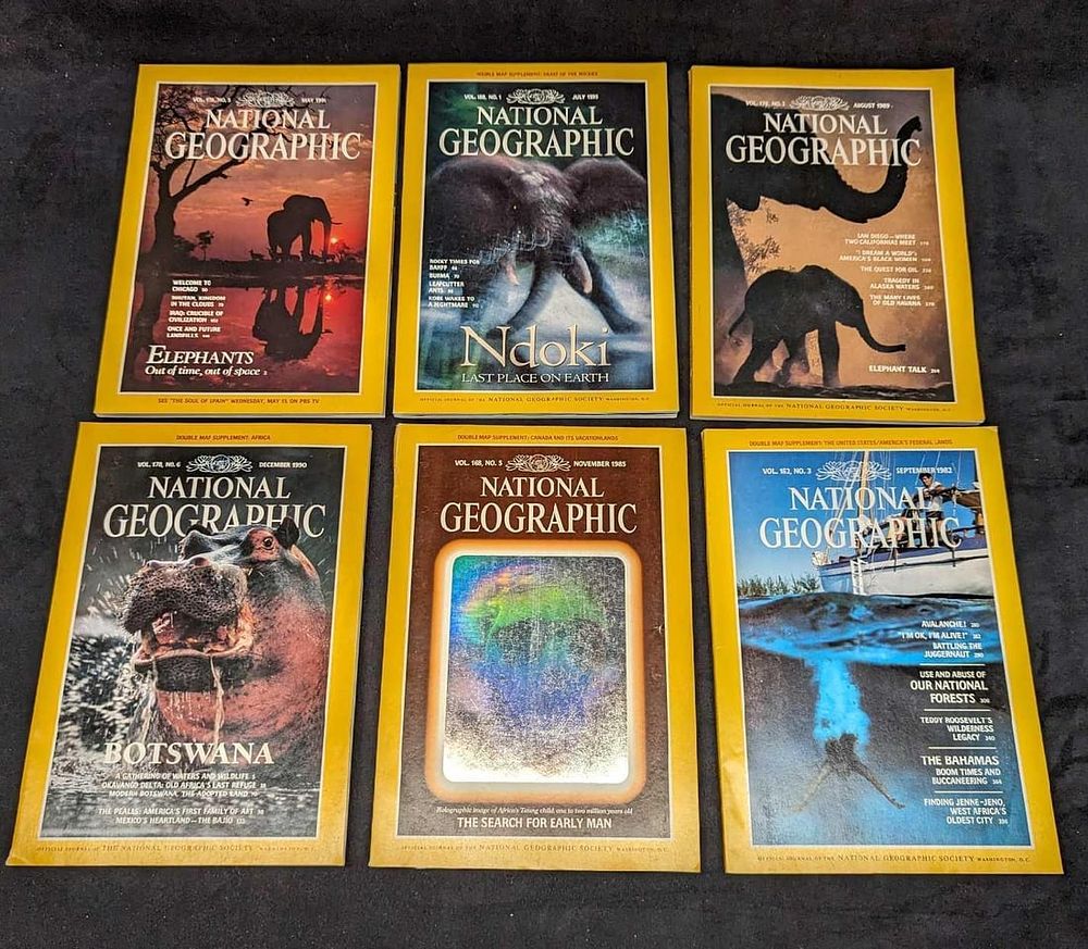 Lot 243: 6 1980s 1990s National Geographic Magazines I Hologram